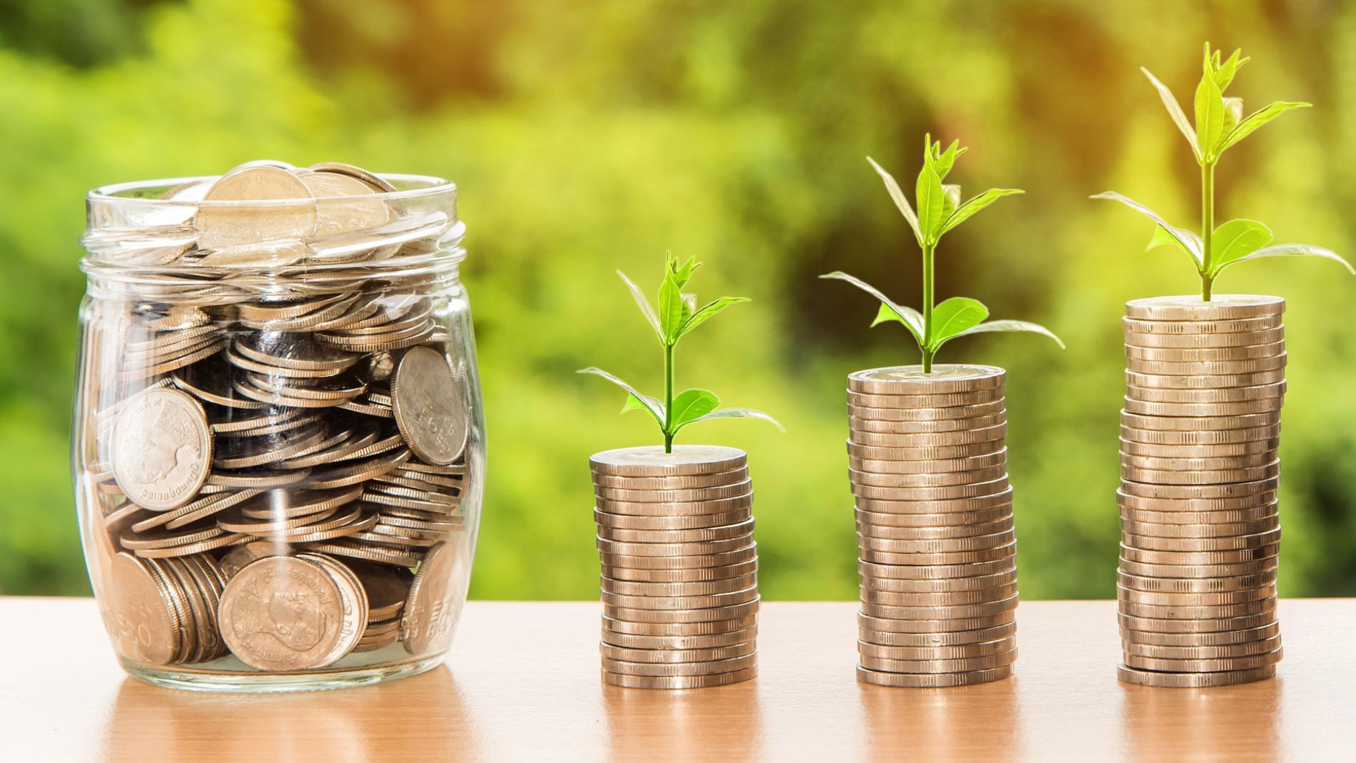 Wealth Management